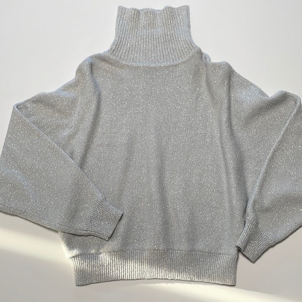 Express Shimmery Silver Sweater, New With Tags, Size M